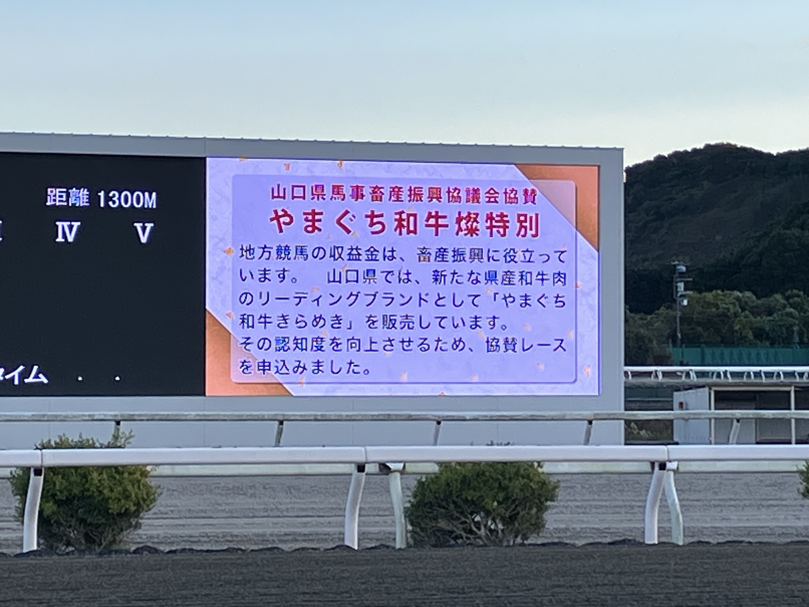 山口県特別レース(於：高知競馬場)